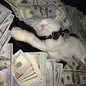 拨🍌🍌🍑男女视频
