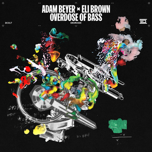 拨🍌🍌🍑男女视频
